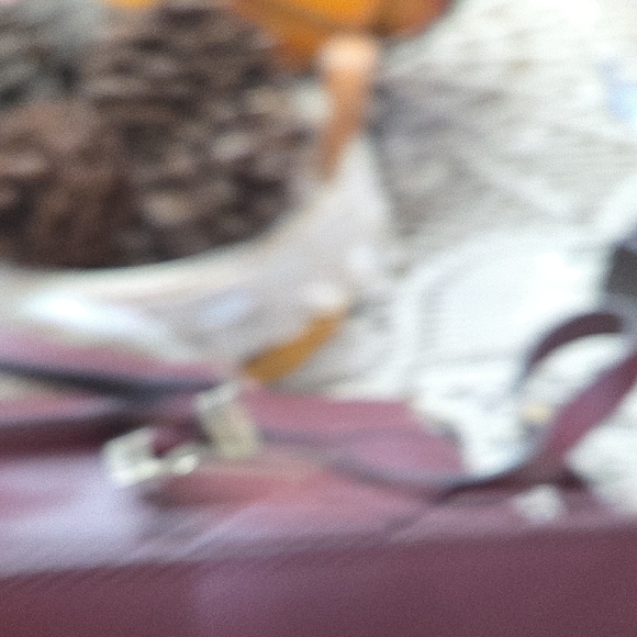 Etienne Aigner Deep Purple Crossbody Bag - Picture 5 of 10